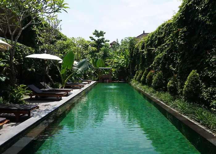 Sapodilla