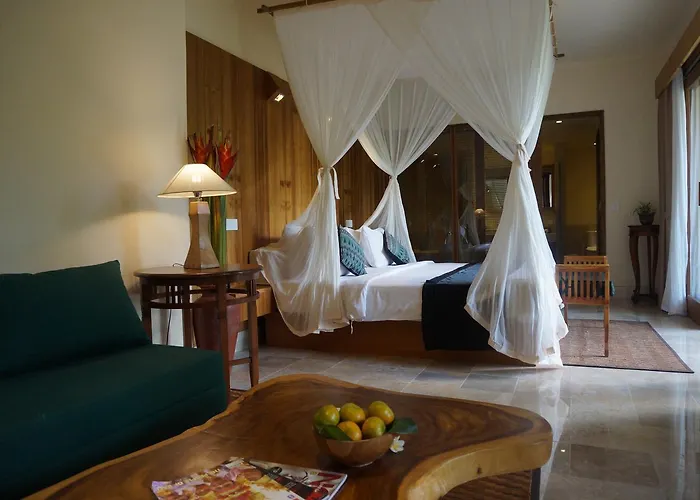 Sapodilla Ubud